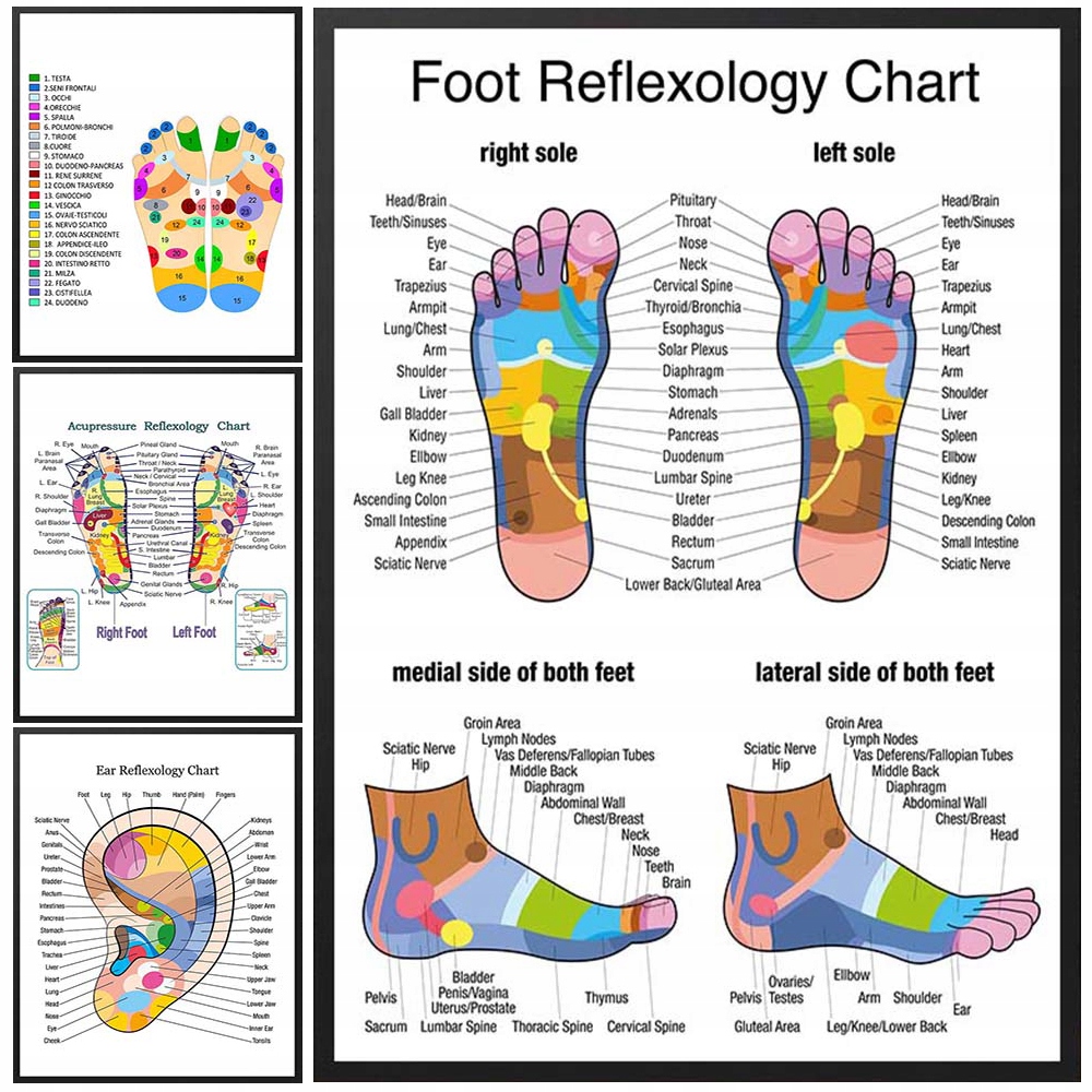 Foot Reflexology Chart Ear Hand Face Posters Marka bez marki