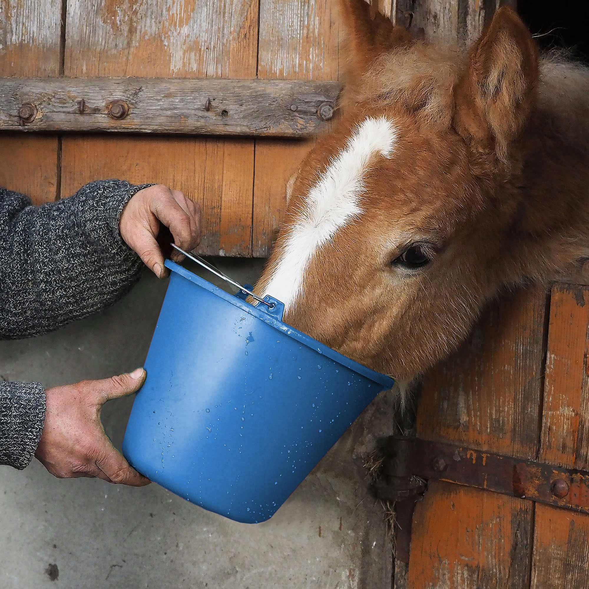 WIADRO WIADERKO GOSPODARCZE BUDOWLANE KOLOR 5L Rodzaj wiadro