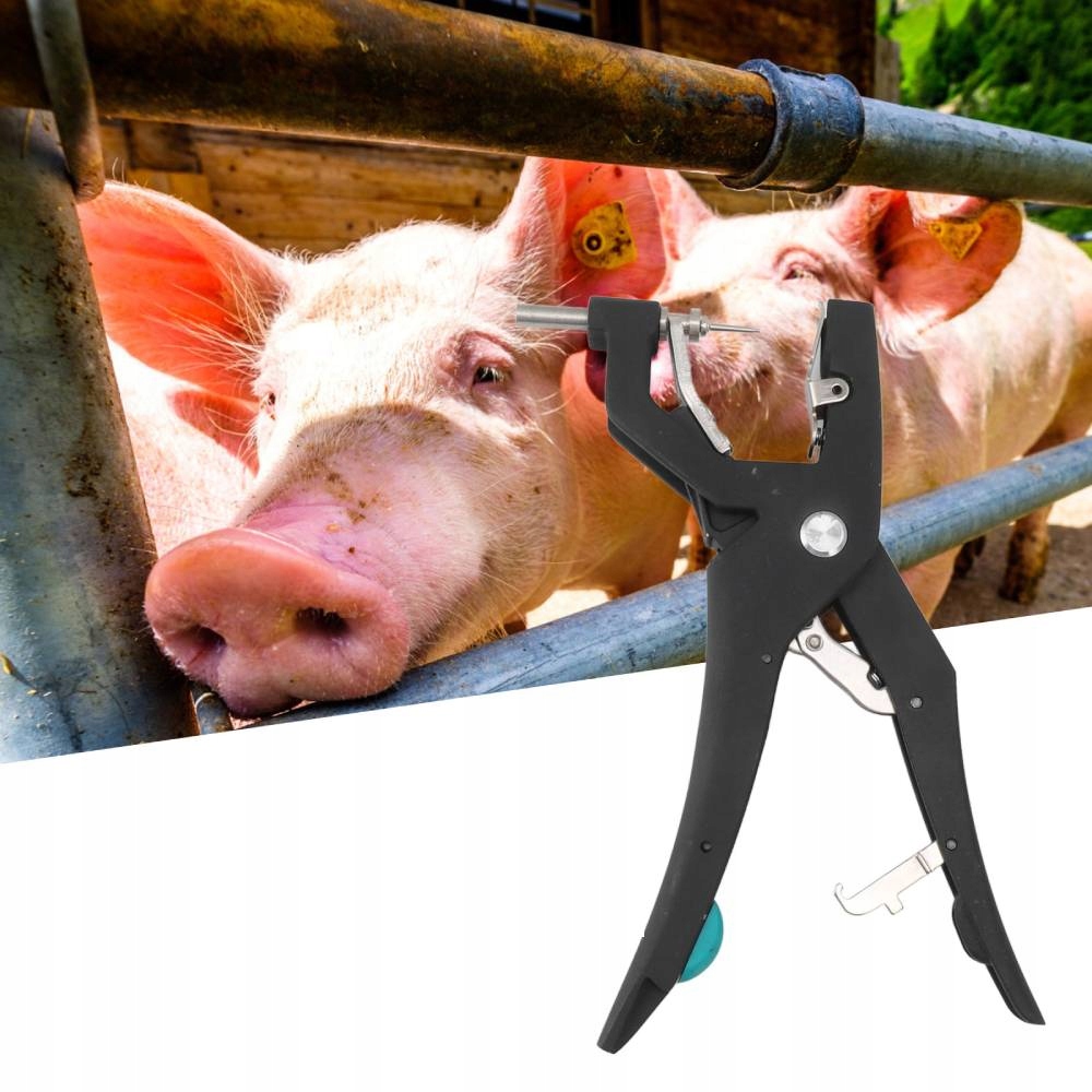 KOLCZYKOWNICA BYDŁO ŚWINIE ORYGINAŁ Kod producenta e3954545465