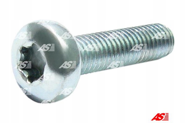 ŚRUBY POMP ALTERNATORA AS-PL Producent części AS-PL