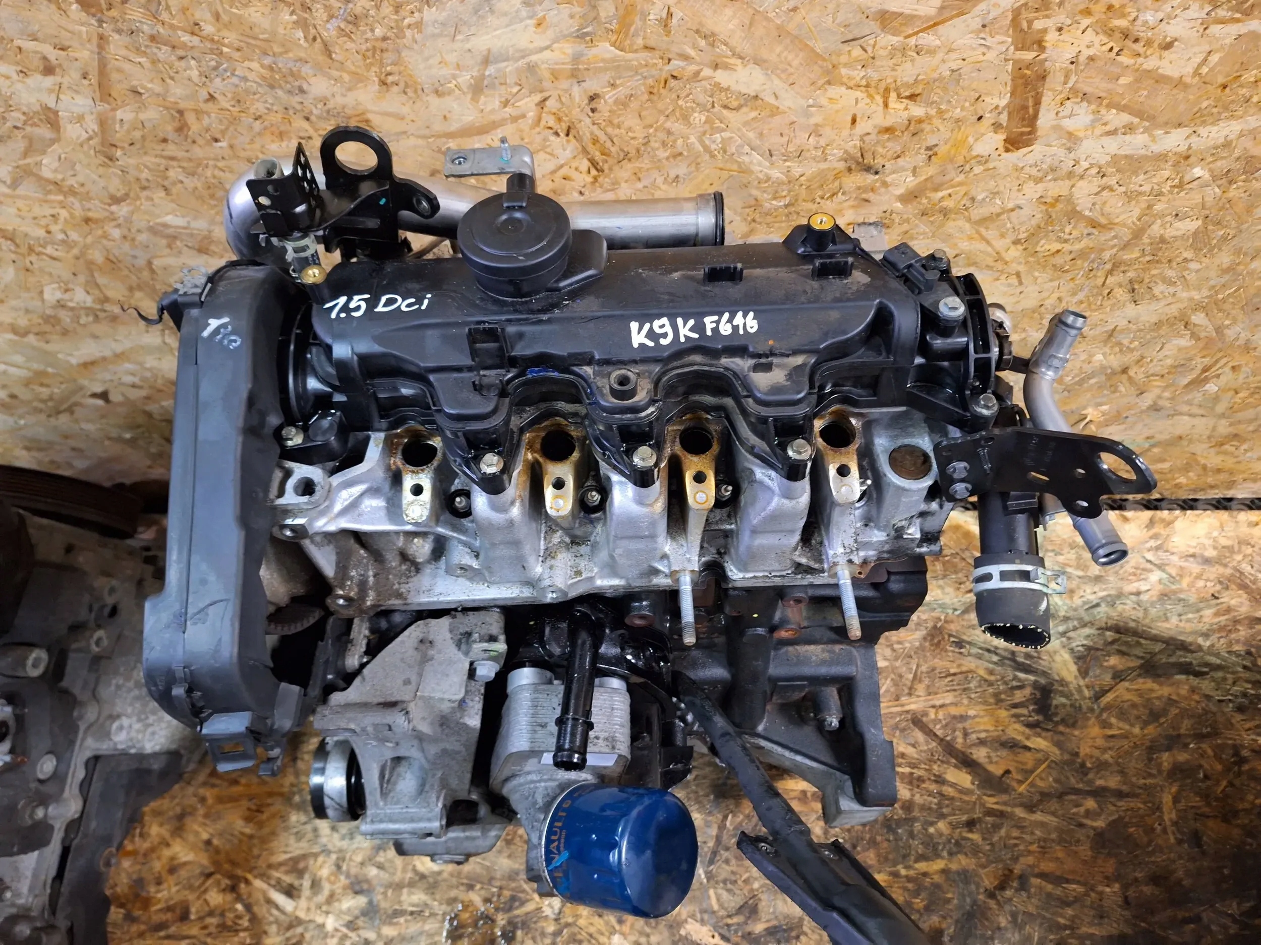 engine K9KF646 Nissan 1.5 DCi