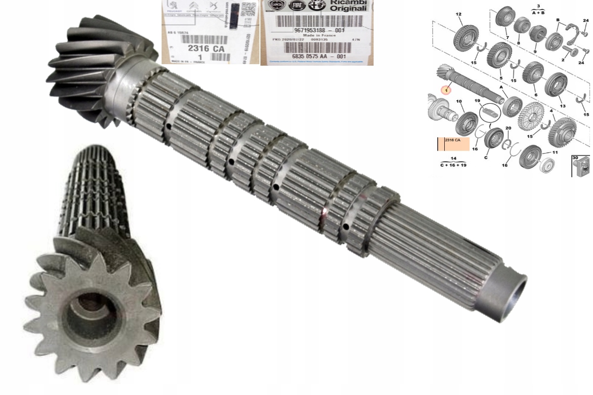 2316.CA 2316CA - Вал коробки Ducato 06 - 14 - промежуточный 15-25-31t oe