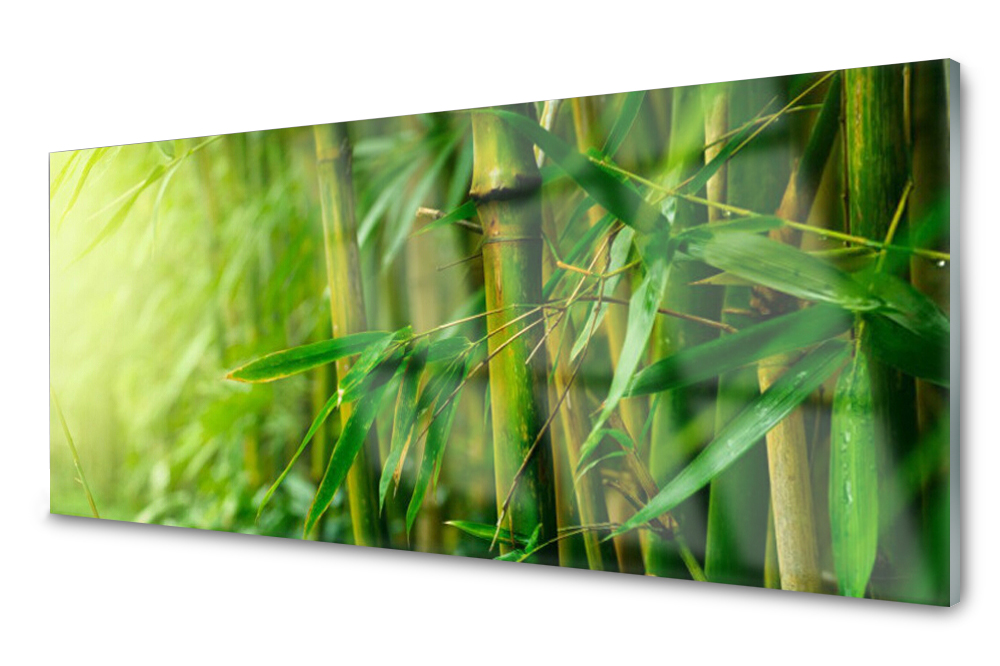

Panel szklany do kuchni Bambus Roślina 125x50