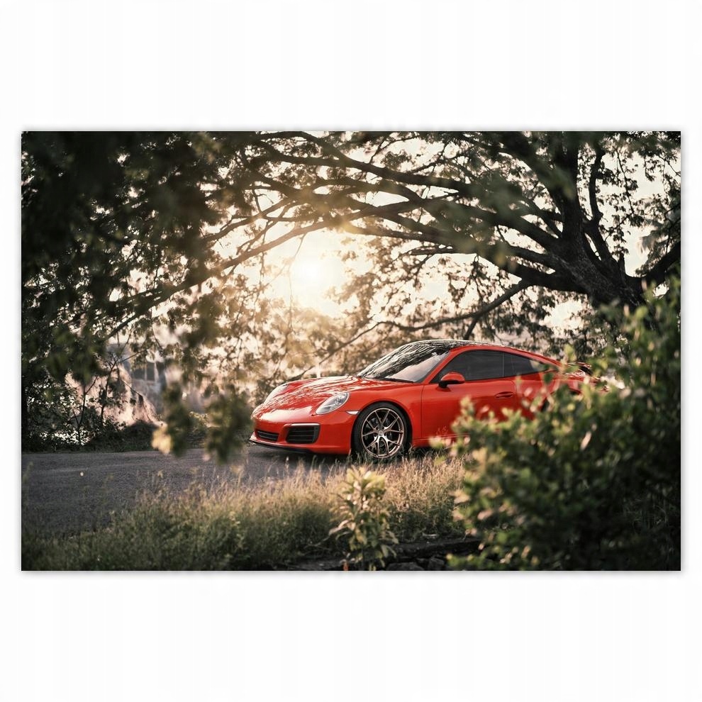 

Plakat 93x62 Auto Samochód Fura Sport