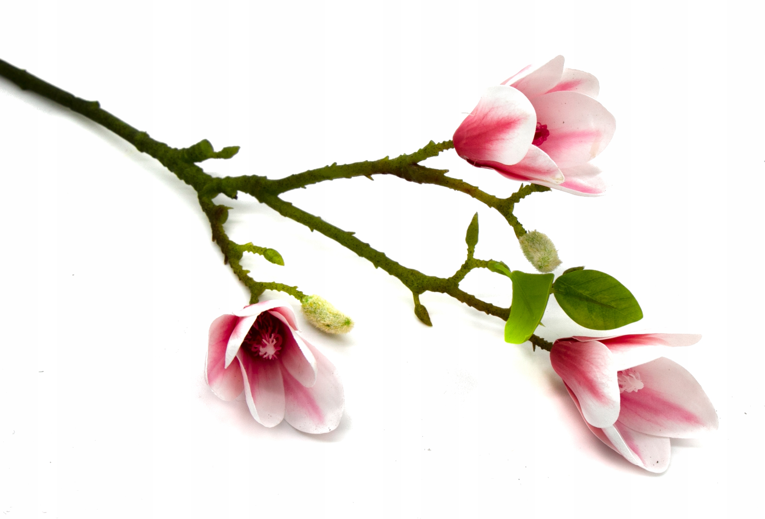MAGNOLIA GAŁĄZKA RÓŻOWO BIAŁA 3 KWIATY 60cm