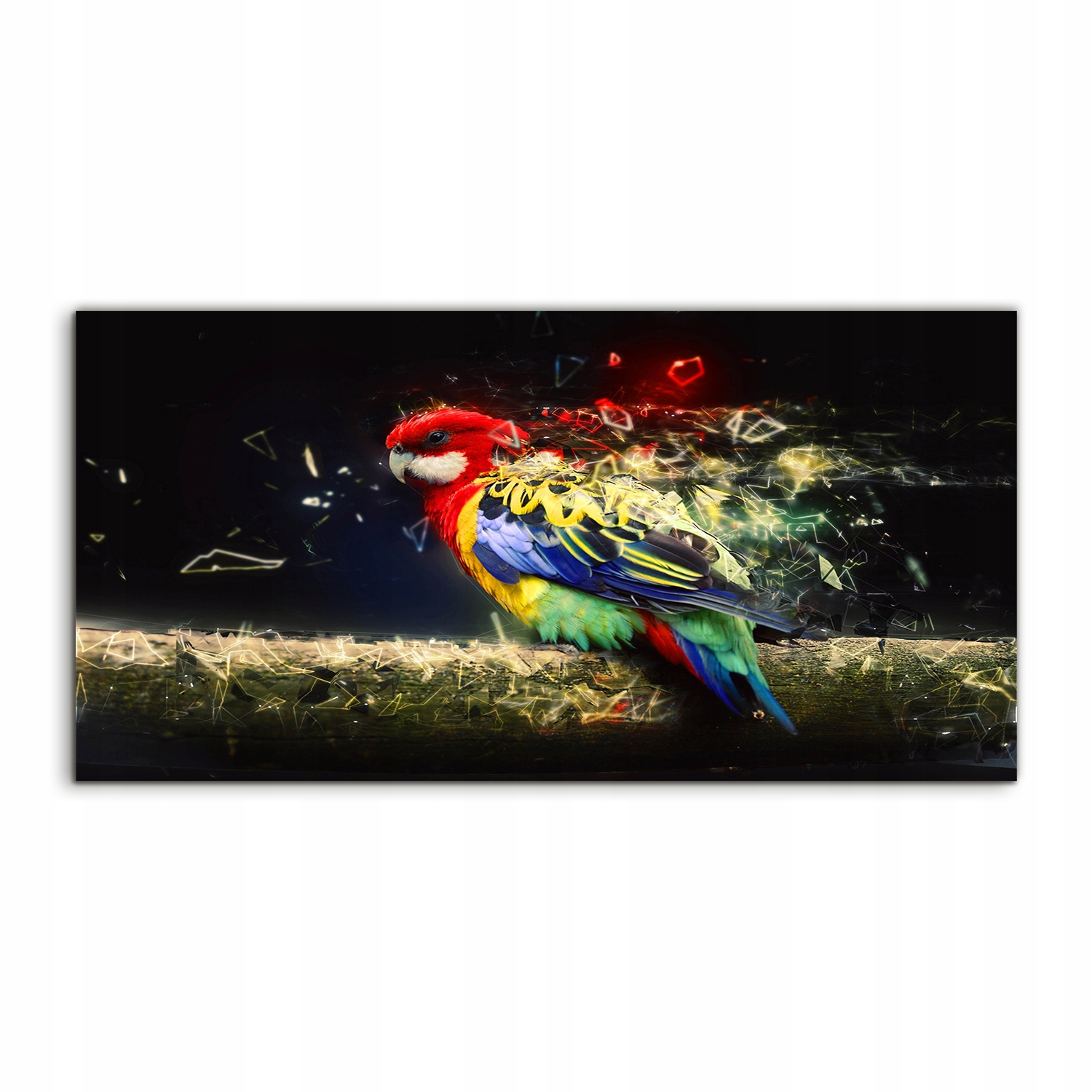 

Fotoobraz akryl 140x70 cm Papuga Abstrakcja Plaża