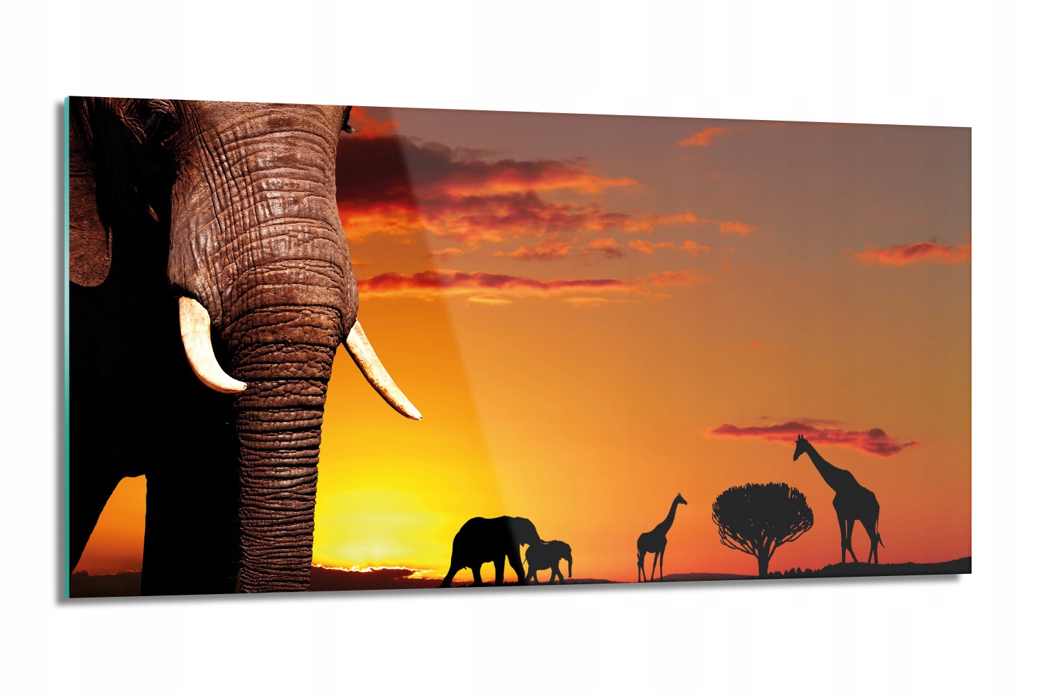 kuchynský panel lacobel Západ slnka slon 100x50