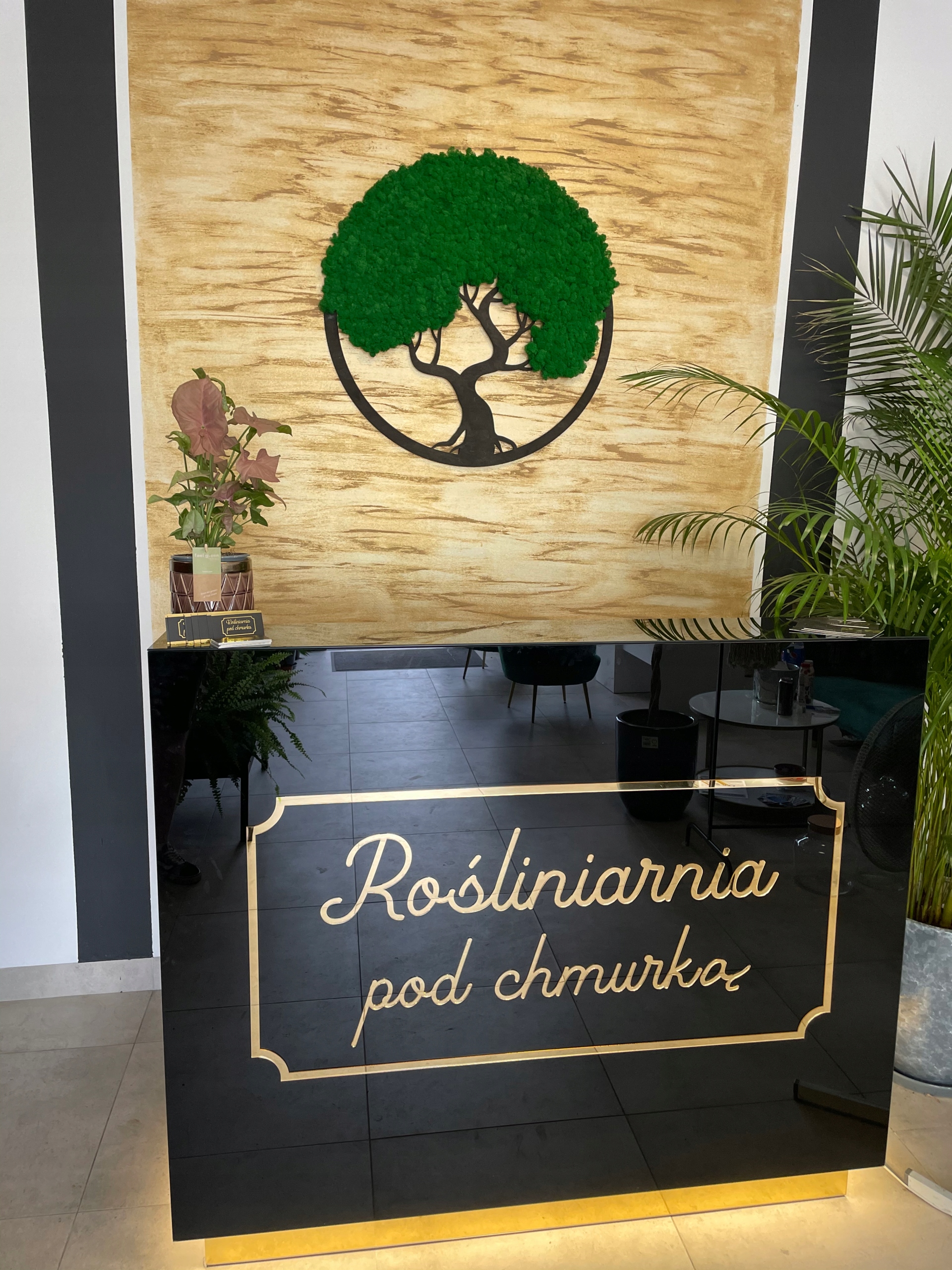 OBRAZ Z MCHU BONSAI MECH CHROBOTEK DRZEWO ŻYCIA DRZEWKO SZCZĘŚCIA Forma w ramce