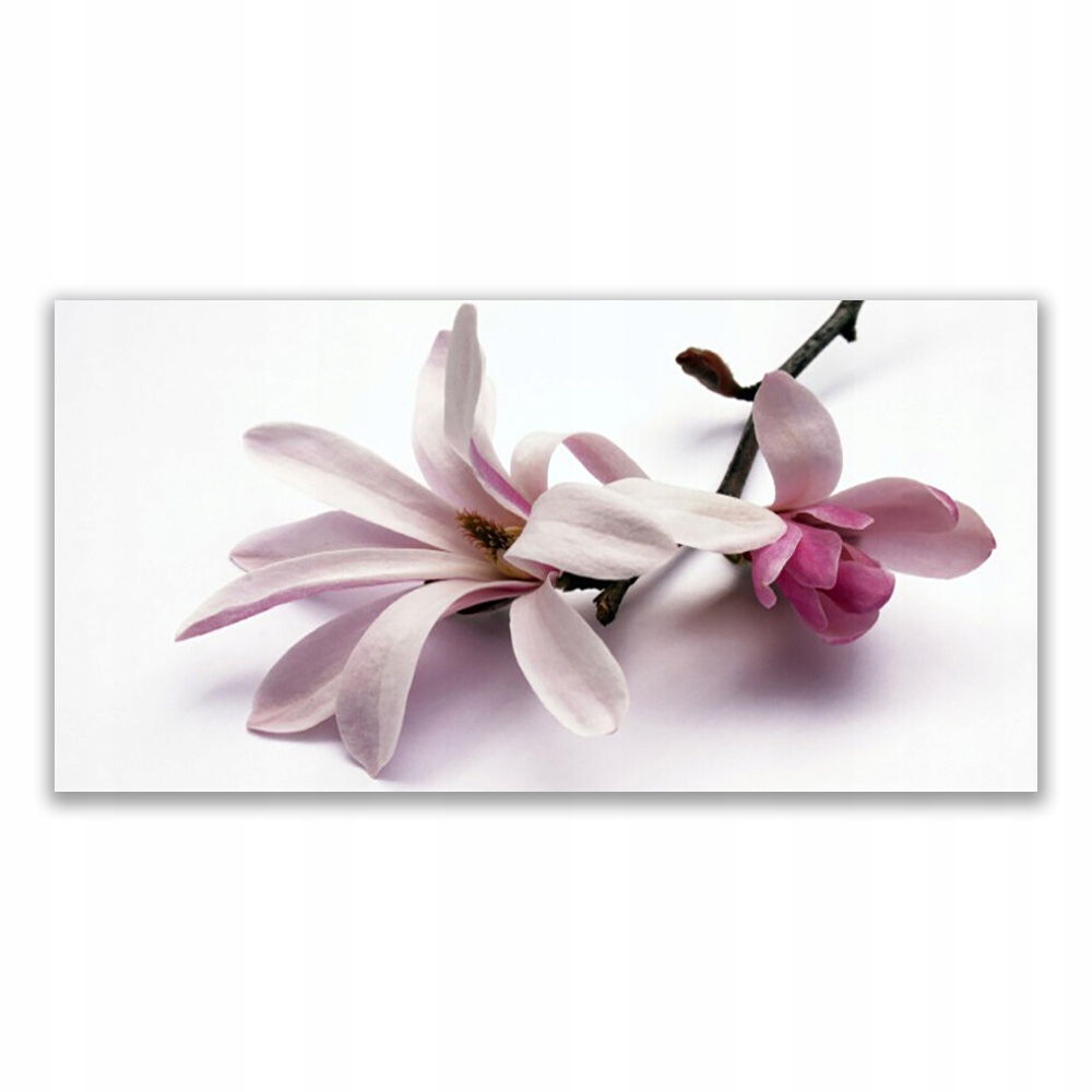 

Obraz akryl na prezent 140x70 Kwiat Roślina Natura