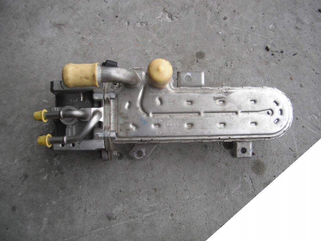 PASSAT TOURAN OCTAVIA CHŁODNICA SPALIN 038131513AD