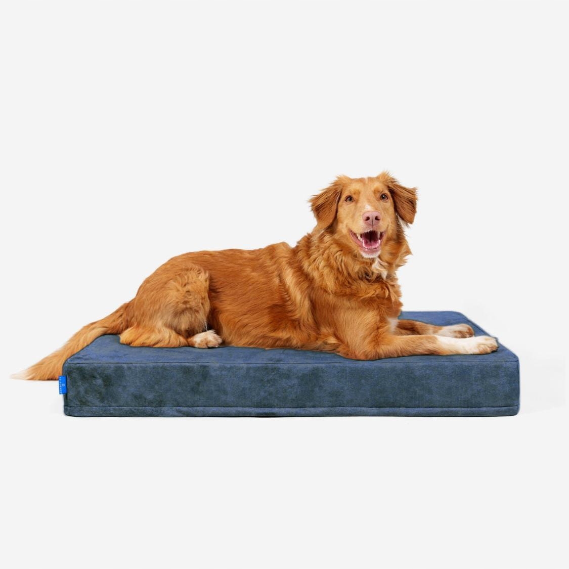 Levně Ortopedická Matrace pro psy Petformed L v tmavě modré barvě