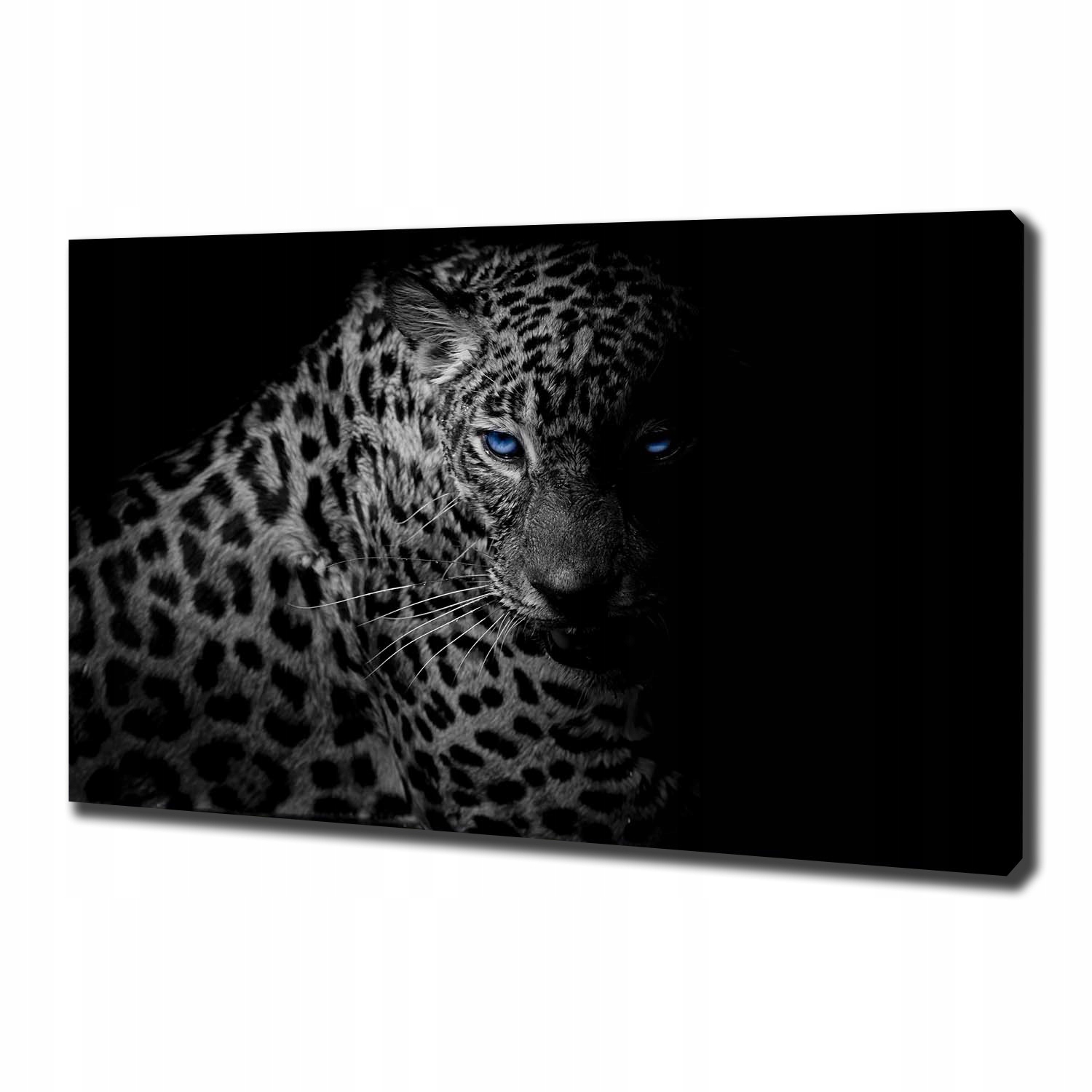 

Foto obraz canvas na ścianę Lampart 100x70 cm