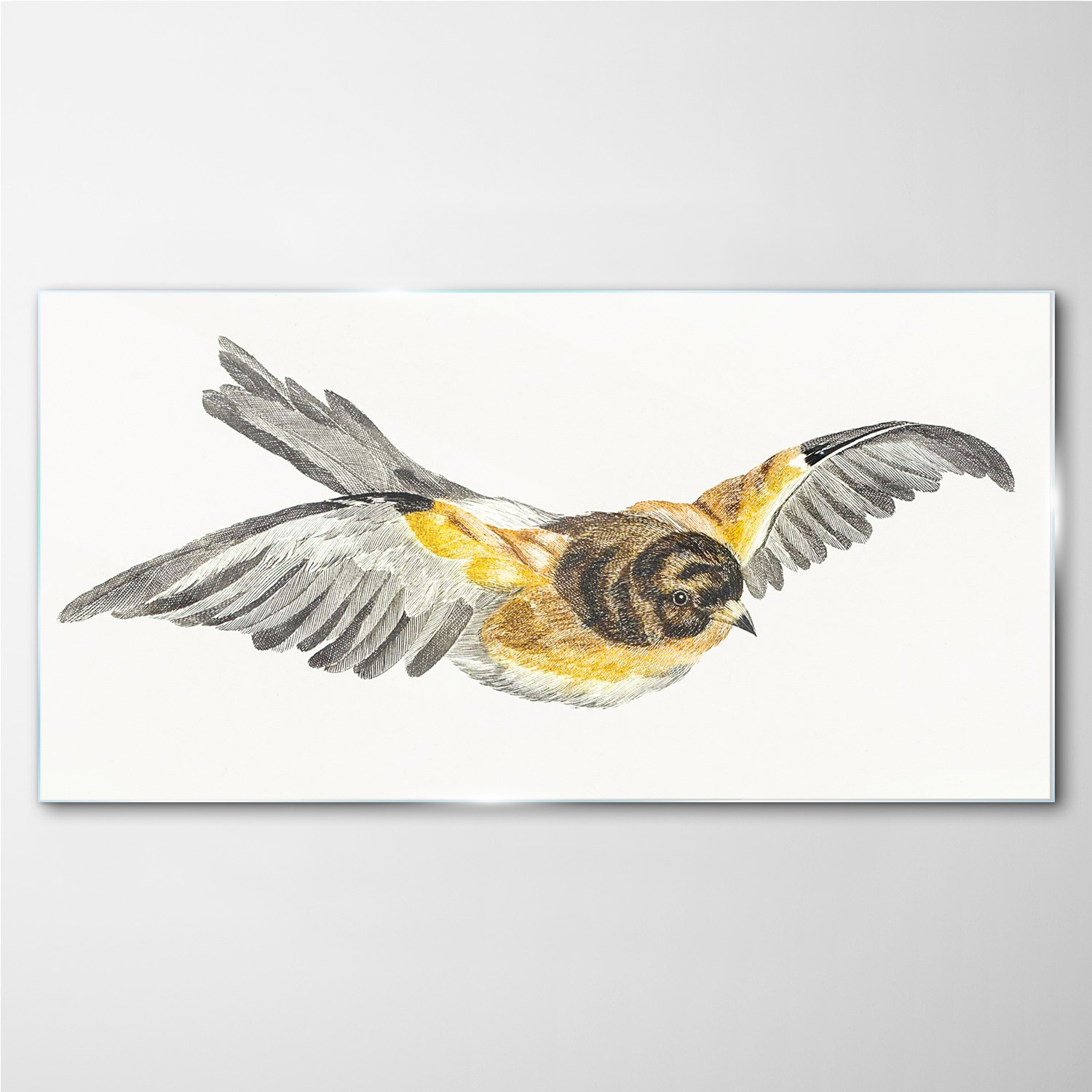 

Obraz szklany na ścianę Zwierzę ptak 140x70 cm