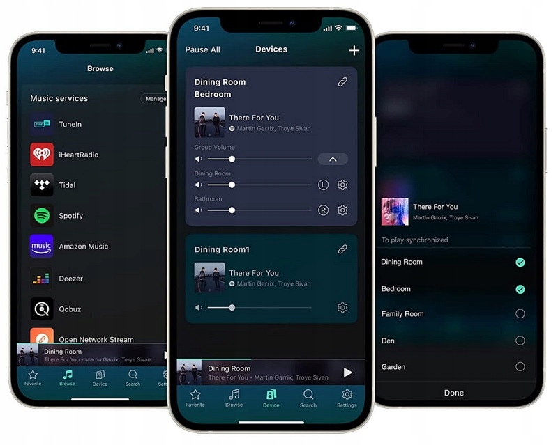 WIIM PRO ODTWARZACZ SIECIOWY AUDIO BIT-PERFECT WIFI AIRPLAY2 DLNA MULTIROOM Kolor czarny