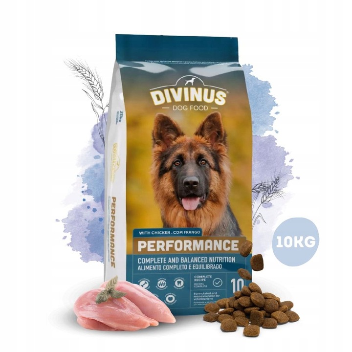Levně Divinus Performance krmivo pro psy velkých plemen Maso Vitamíny 10 kg