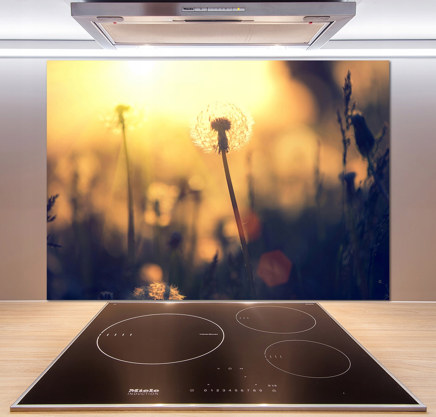 

Panel dekor szkło Dmuchawiec 100x70 cm + Klej