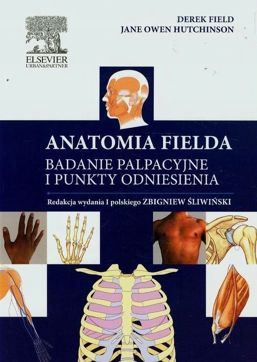 Anatomia Fielda Badanie palpacyjne i punkty odnies