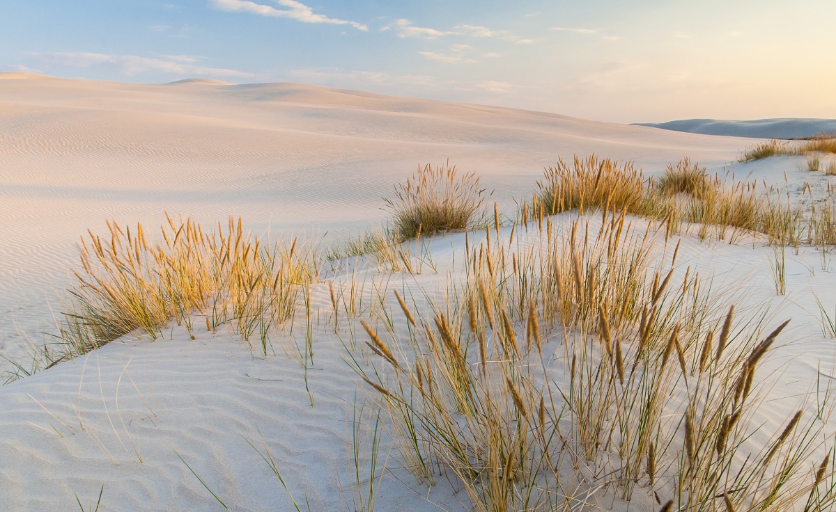 

Fototapeta Flizelinowa Morze Bałtyckie 416x254