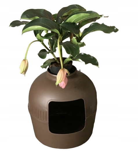 

Kuweta 2 w 1 Flowe XXL brązowa