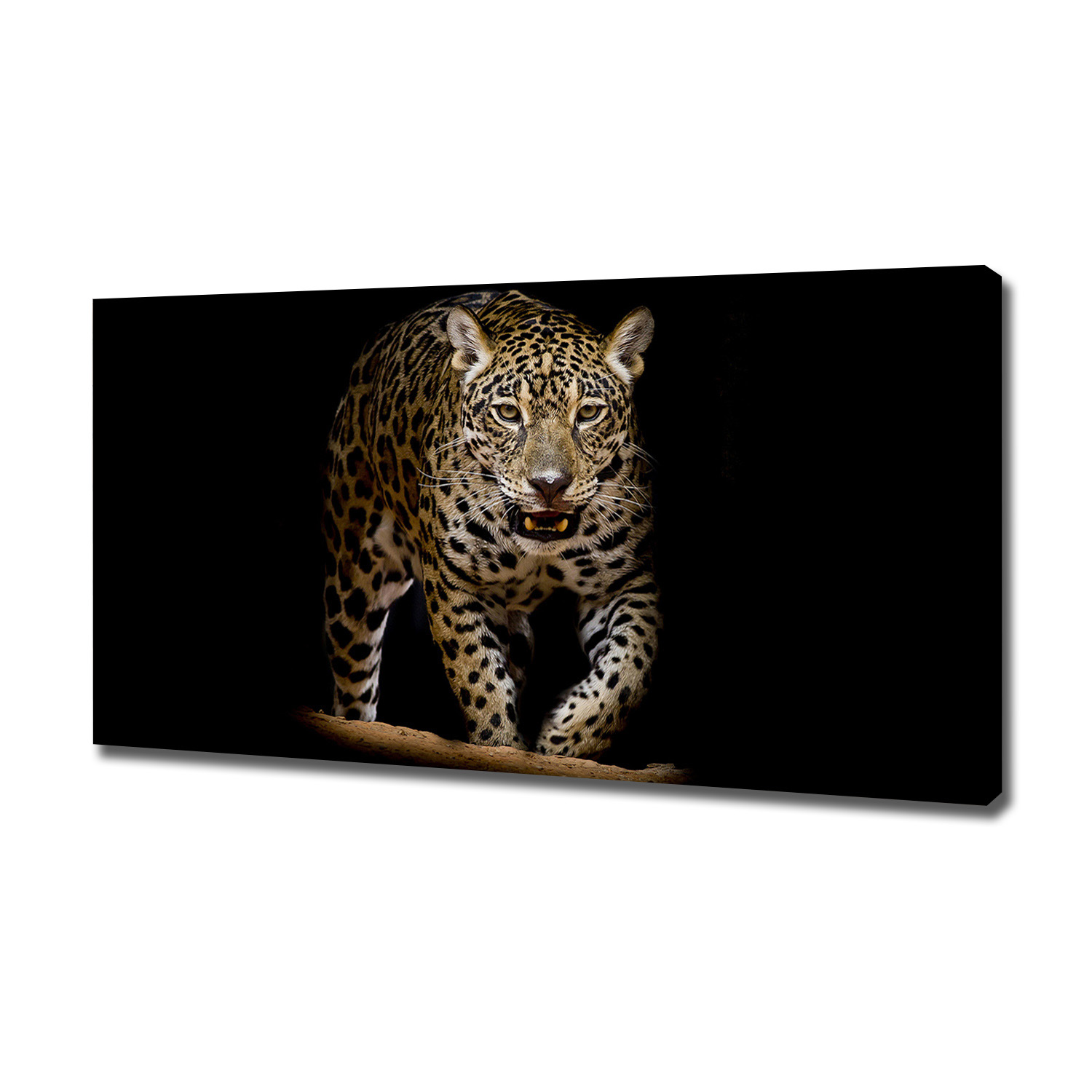

Duży foto obraz na ścianę canvas Jaguar 120x60 cm