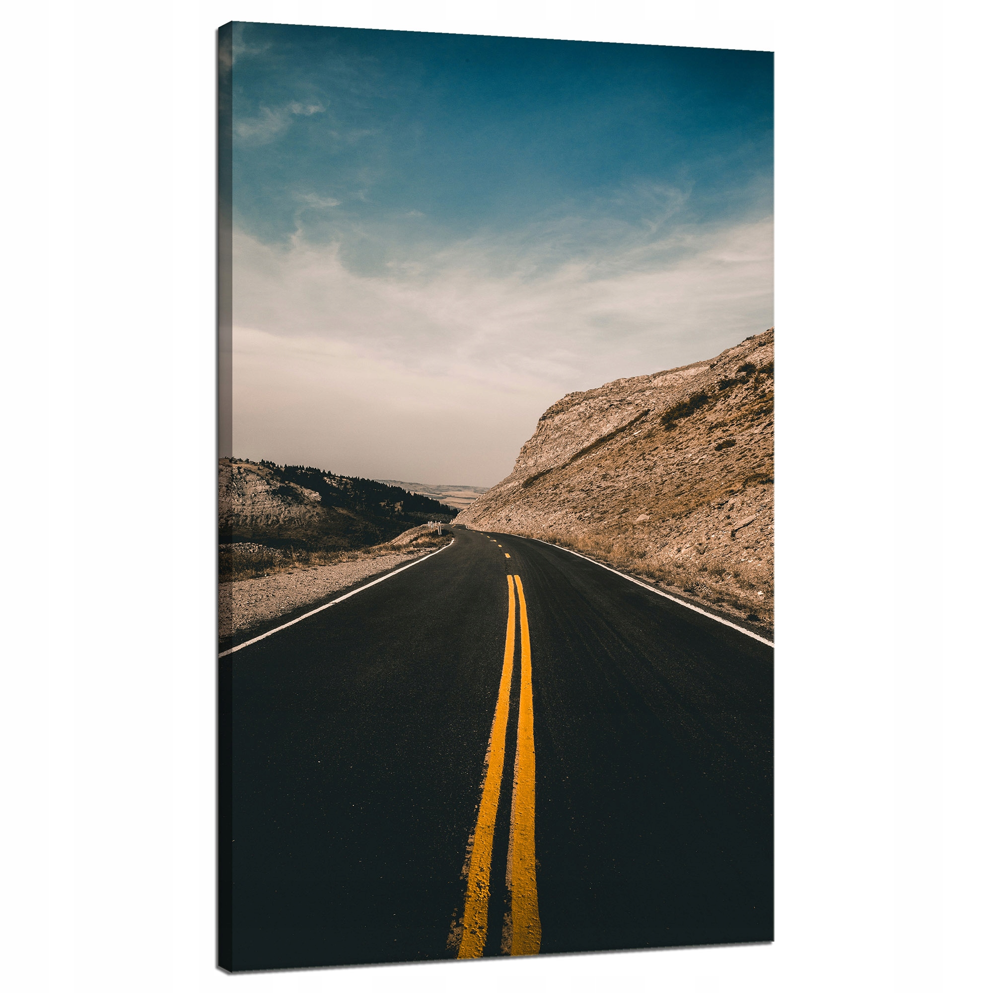 Obraz na plátně Příroda Cesta žluté pruhy 70x120 cm