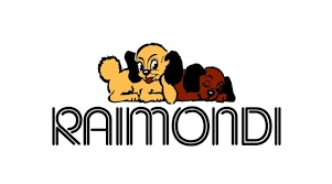 RAIMONDI 184Q03G PACA ZĘBATA STALOWA 36X12CM ZĘBY 3X3MM EAN (GTIN) 8050532005006