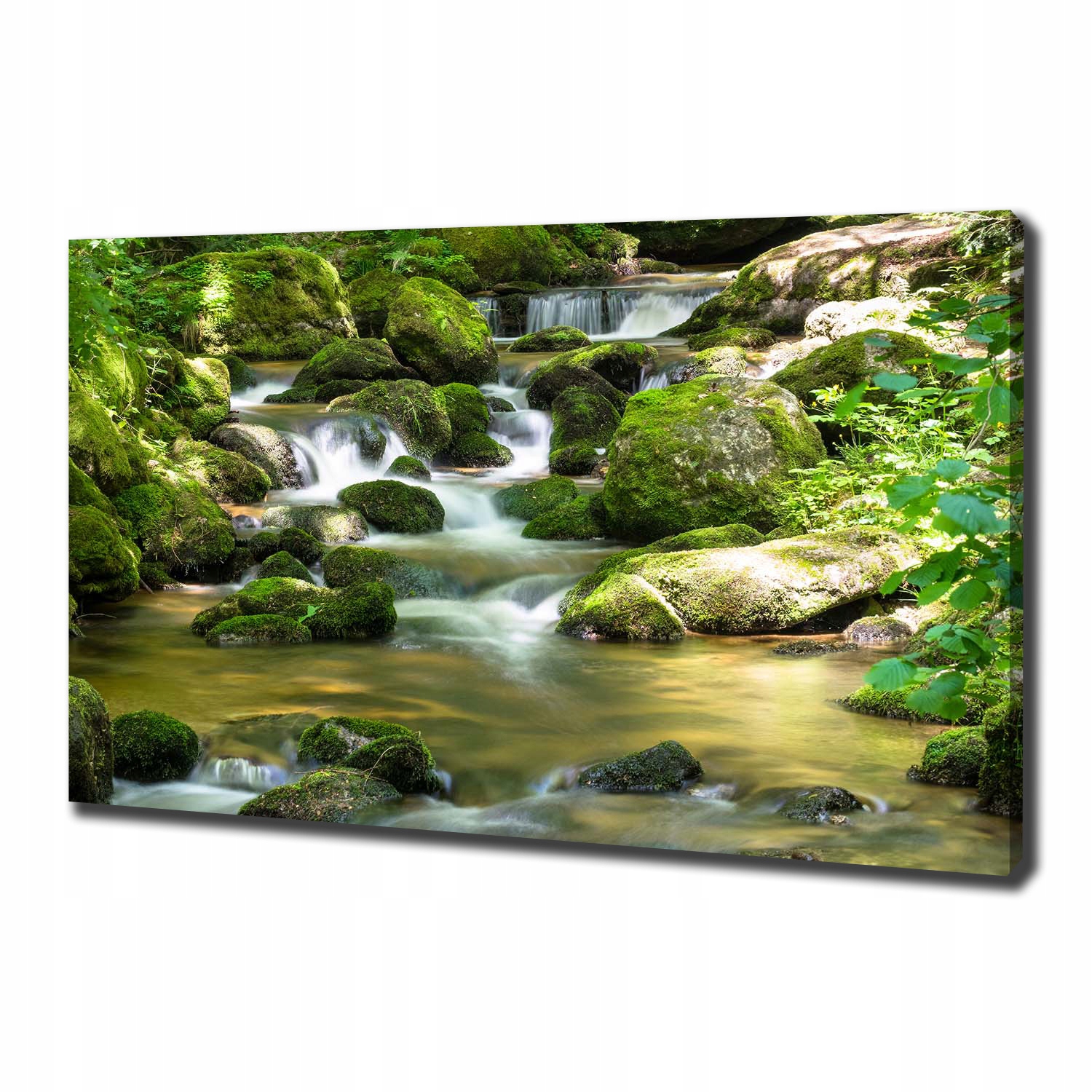 

Foto obraz canvas na ścianę Wodospad 100x70 cm