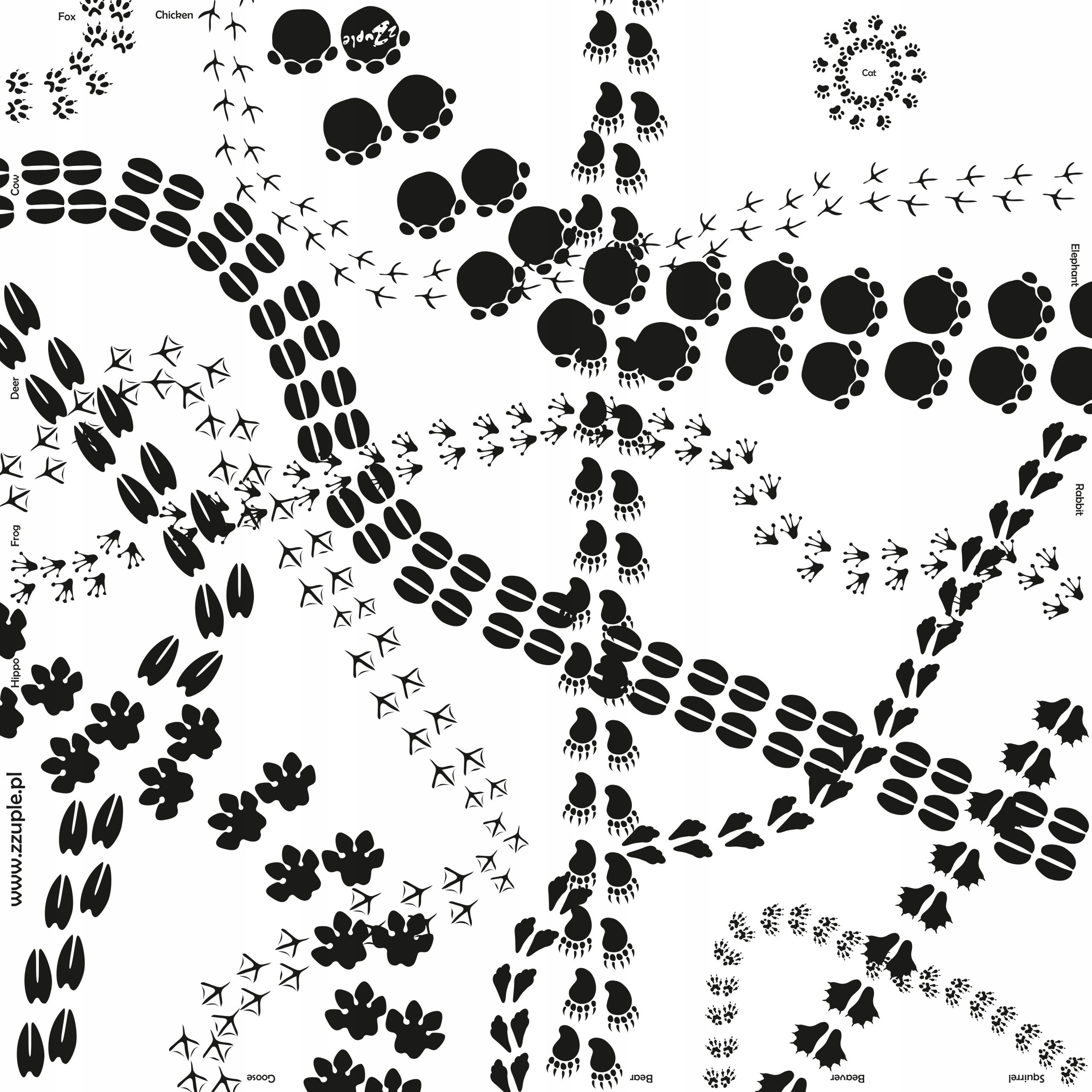 Mata Montessori i 72 tafle ślady zwierząt, łapy
