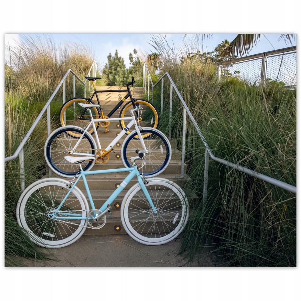 

Plakat 50x40 Rowery Rowerki Dwa Kółka