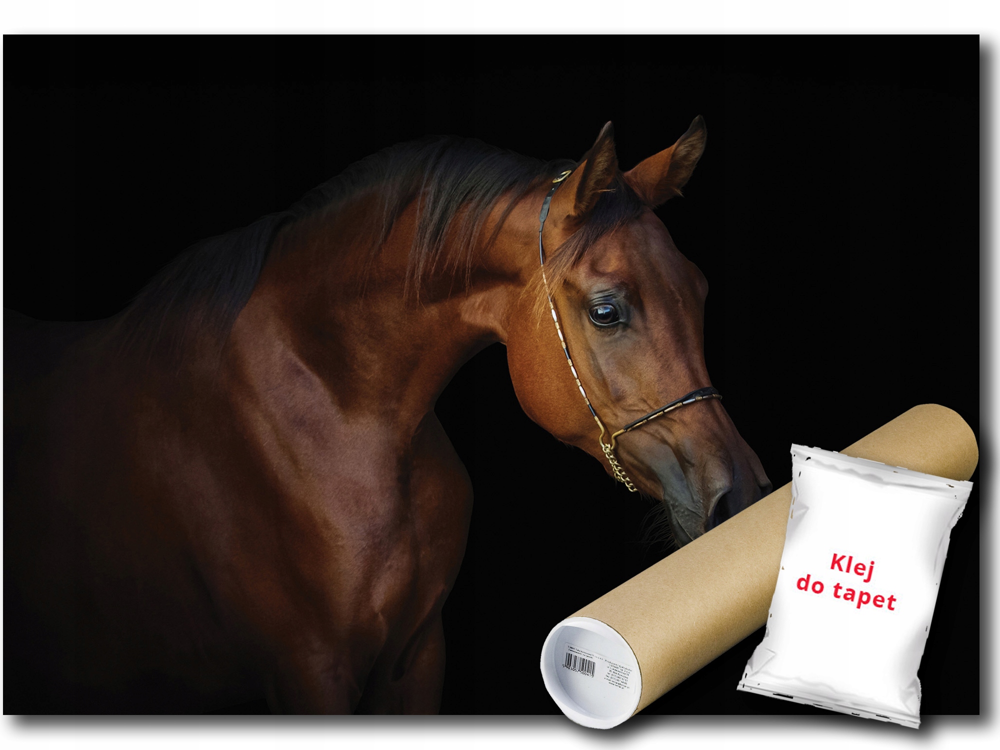 Fototapeta Flizelina Kůň Rumak Zvíře 416x254