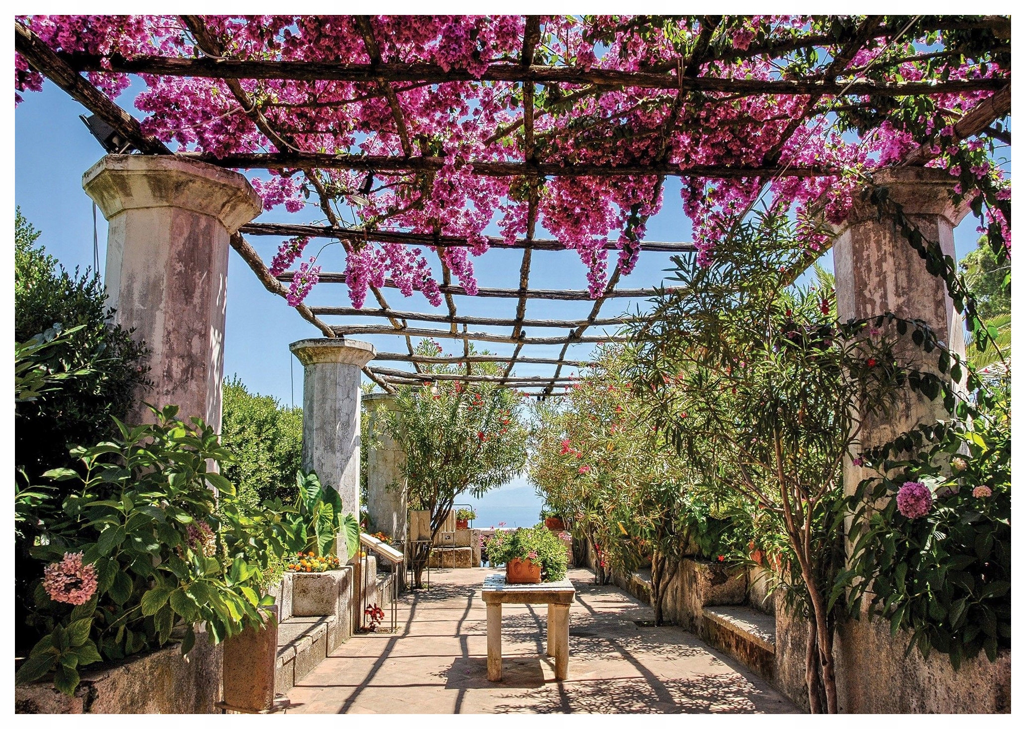Fototapeta Pergola Bugenwilla Moře Květiny vinylová 208x146 lepidlo