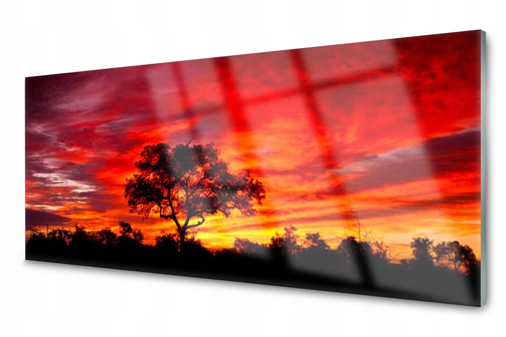 

Panel szklany do kuchni Las Zachód Drzewo 125x50
