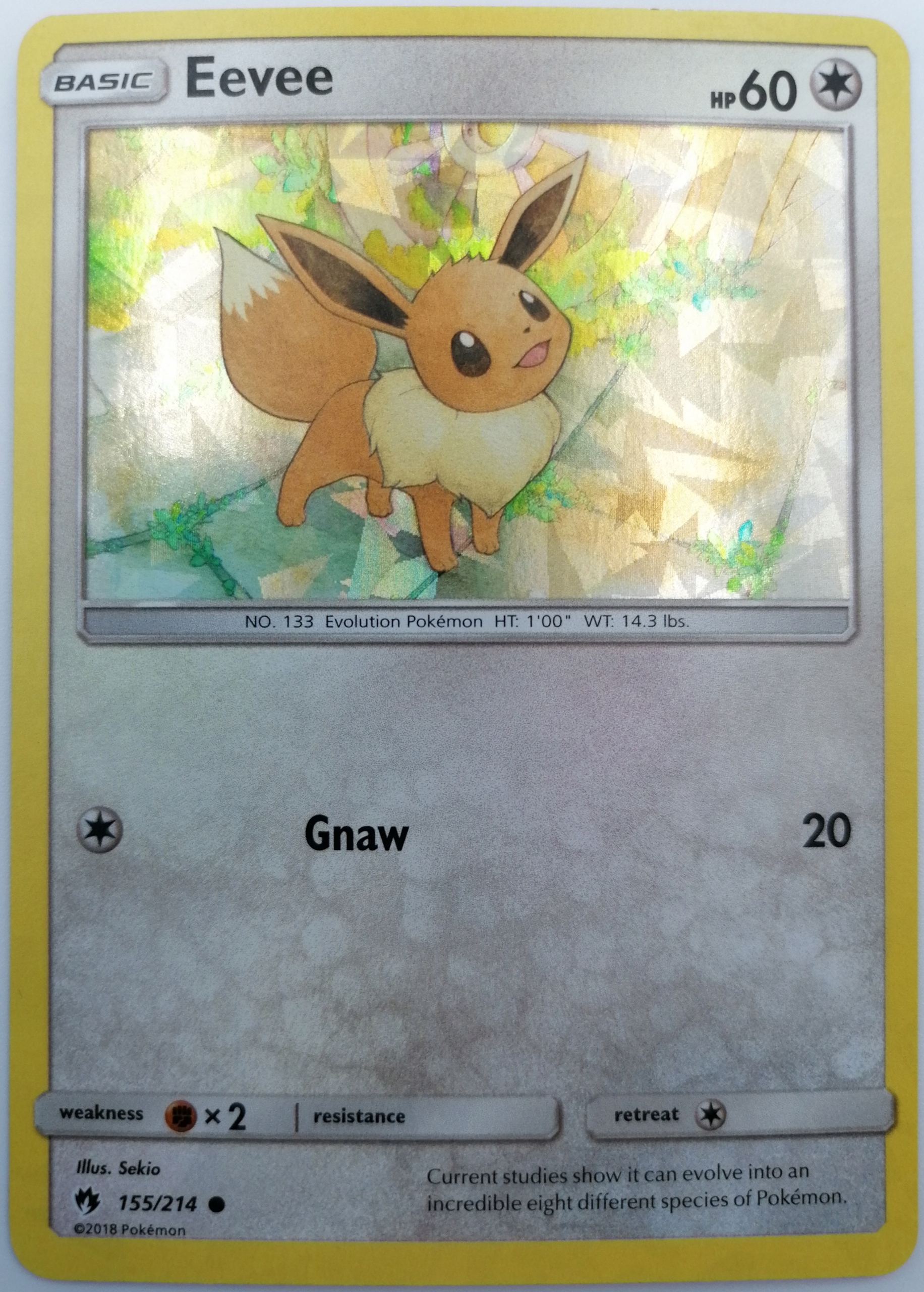 Lot Eevee 155/214 (Cracked Holo) Colorless Oryginalna karta Pokemon