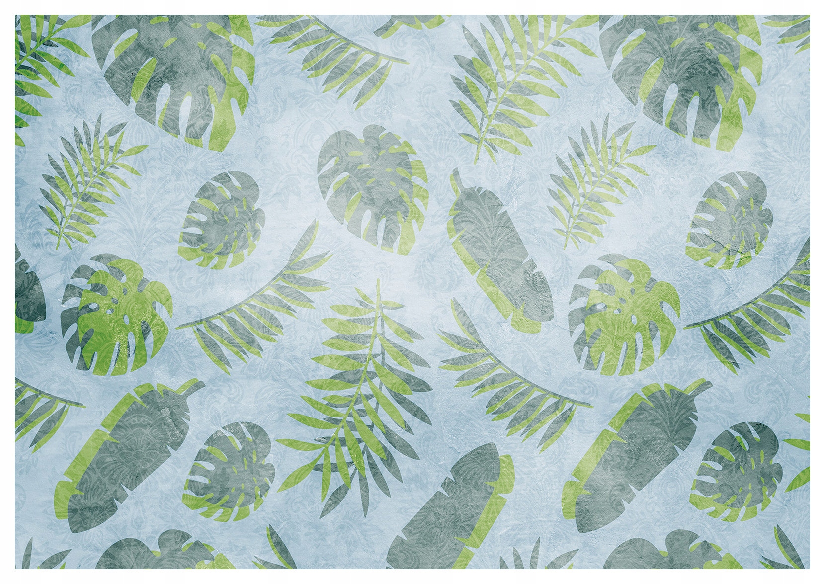 Fototapeta Listy Monstera Tropické na modrom pozadí vinyl 368x254 lepidlo