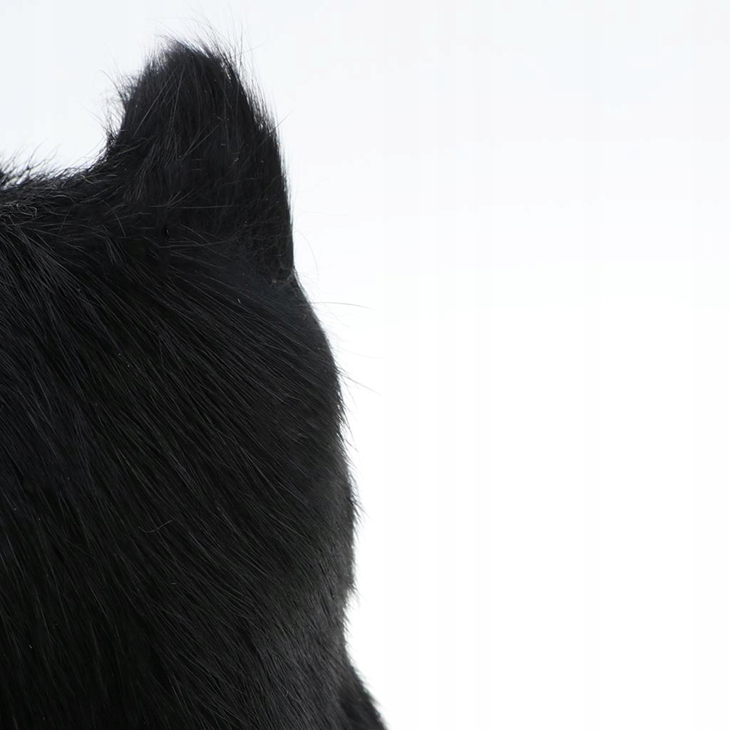 Simulation Animal Model Toy Figures Home Black Cat Marka bez marki