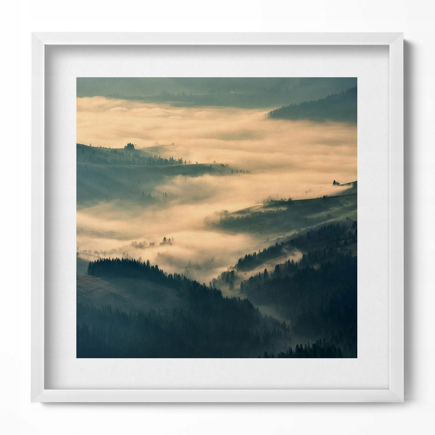 Obraz v bílém rámu nástěnná dekorace Horská krajina lesů v mlze 50x50 cm