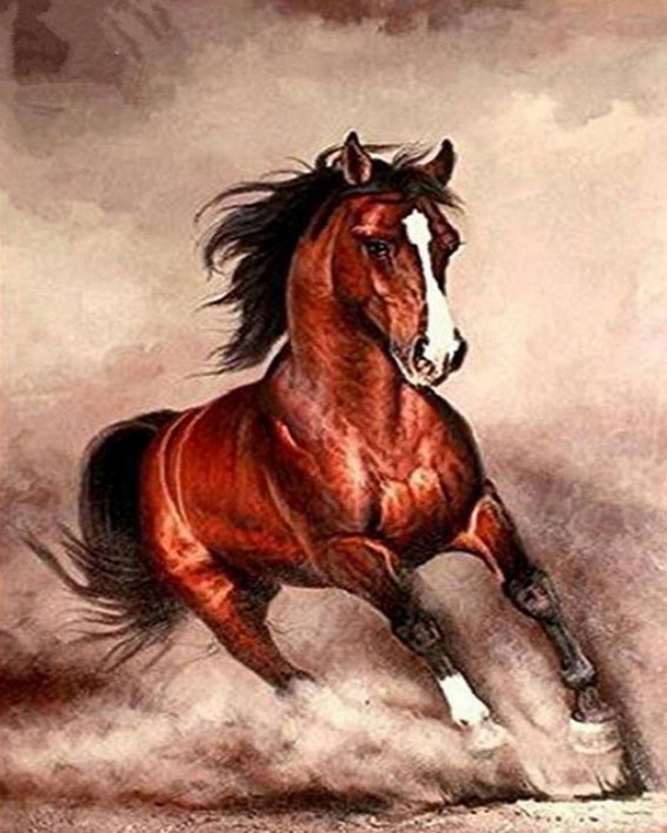 Diamantová Výšivka Diamond Painting Mozaika Kůň Galop 45x55 cm Sada 5D