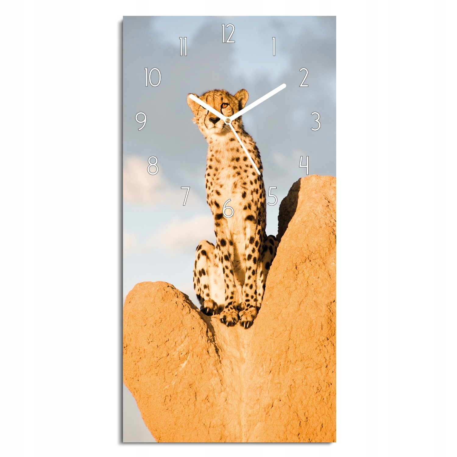 

zegar z foto Gepard skała ze zdjęciem 30x60 cichy