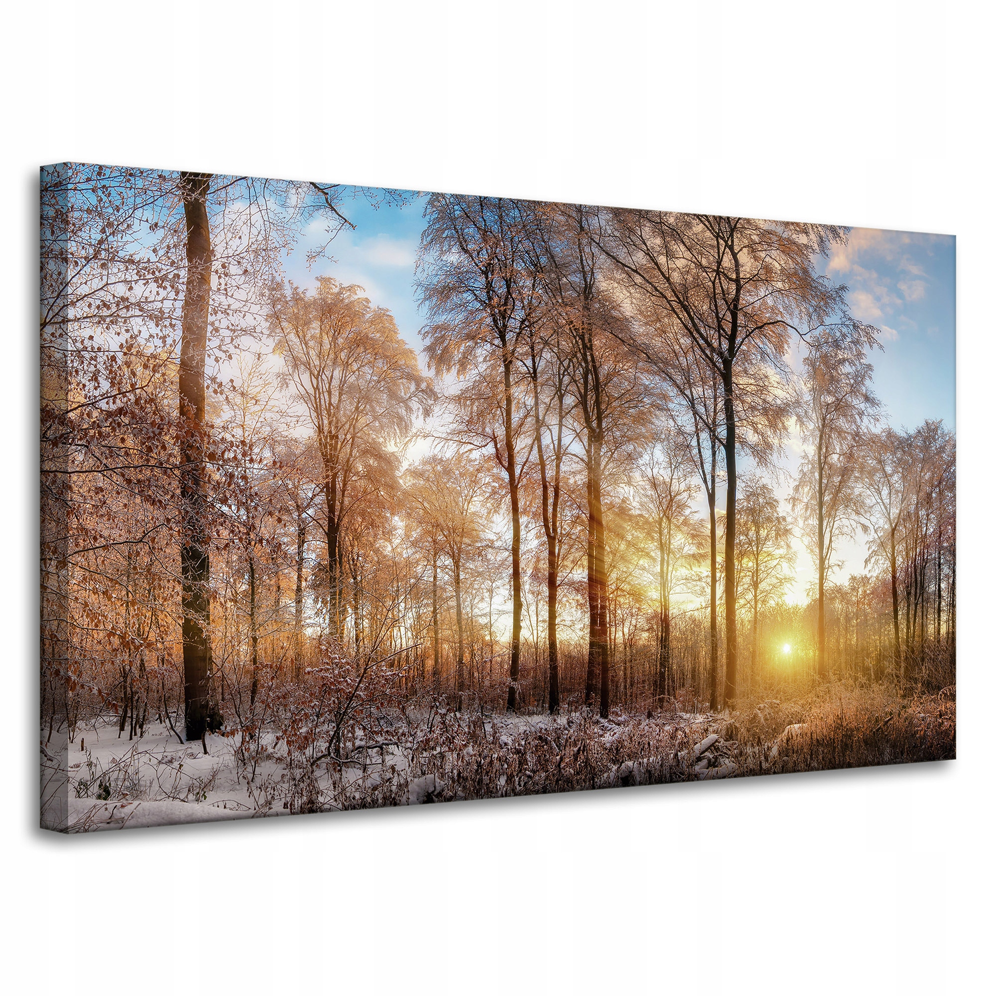 Obraz na plátně Stromy Zima Vycházející Slunce 100x60 cm Ideální jako dárek