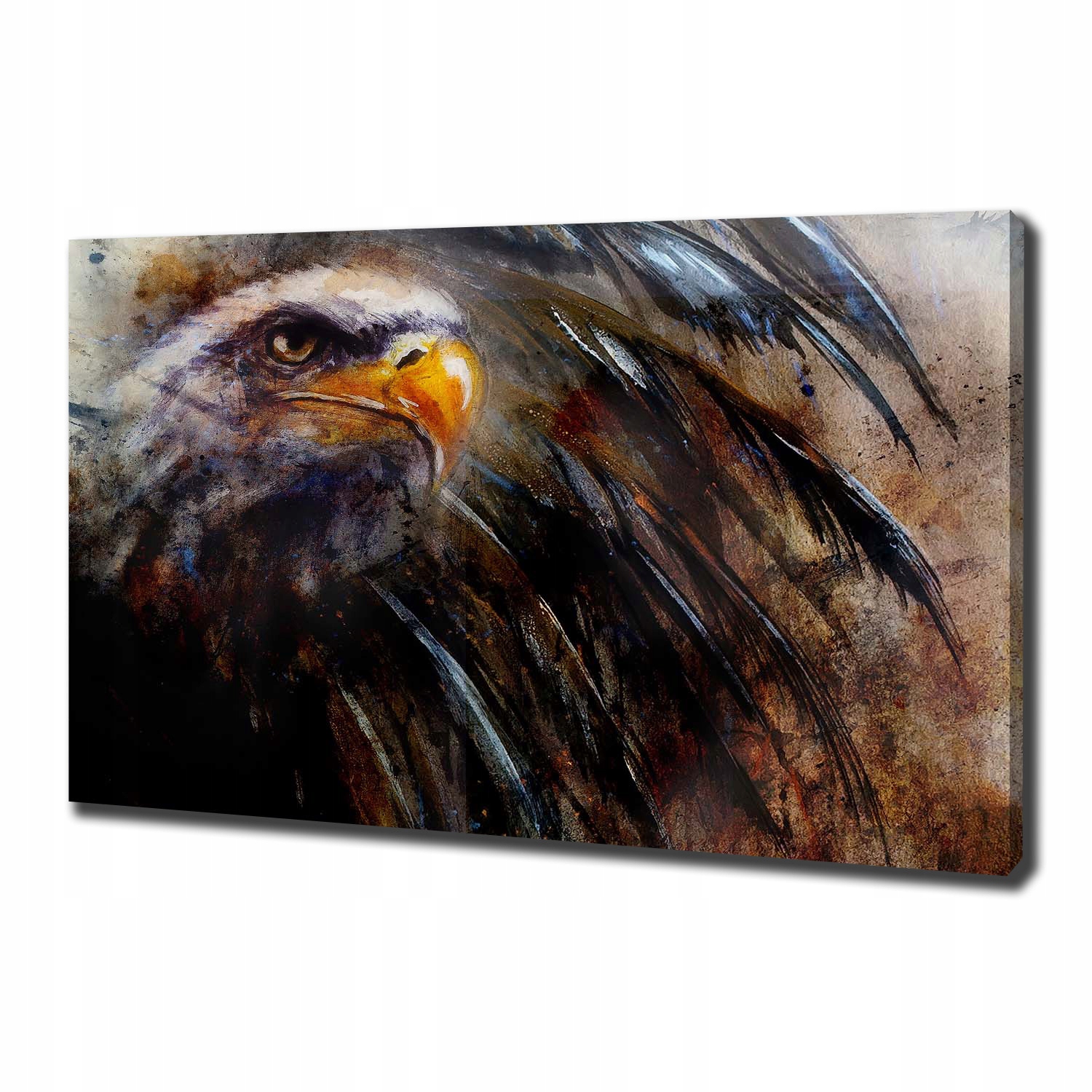 

Foto obraz ze zdjęcia do salonu Orzeł 100x70 cm