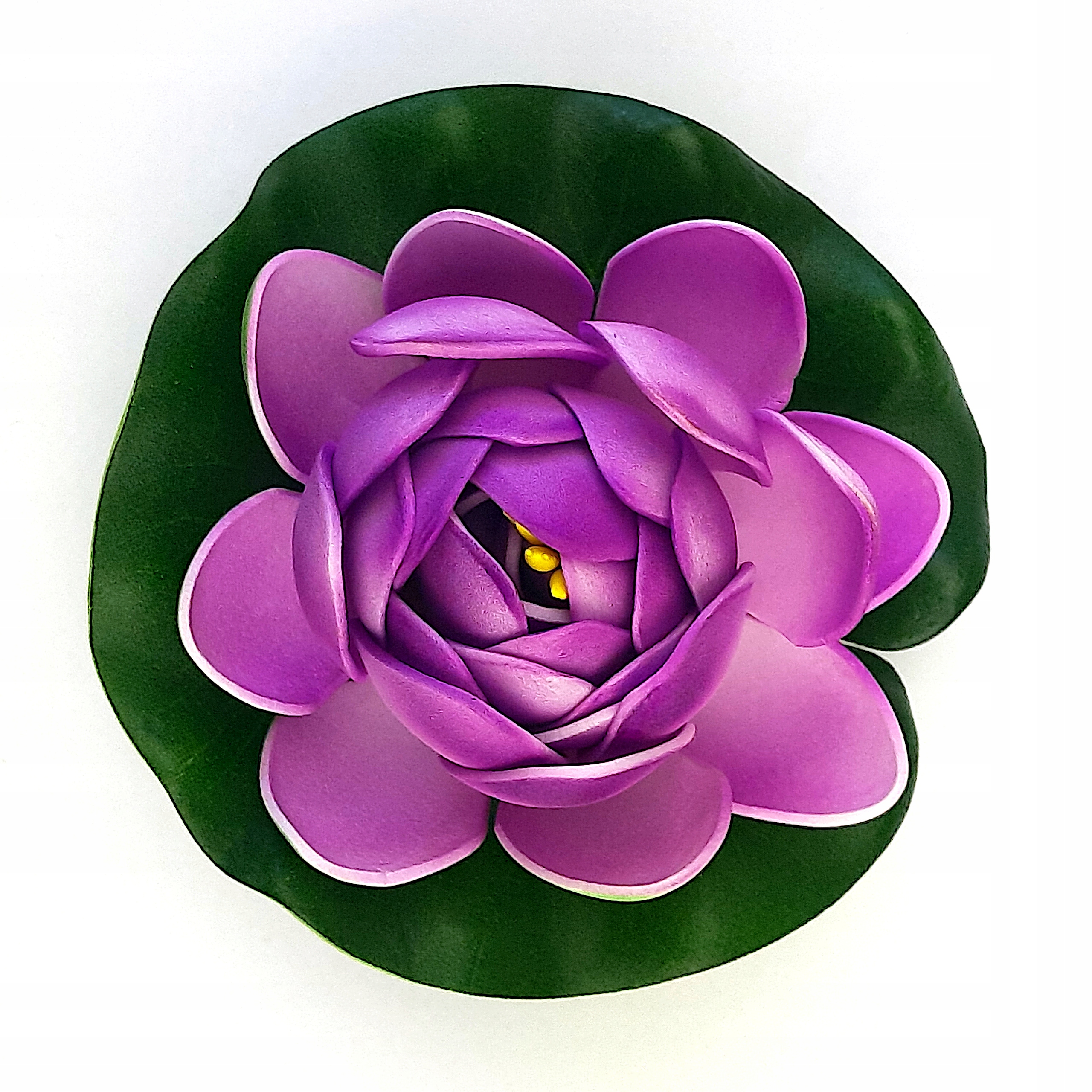 Lilia wodna pływająca foletowa 11 cm alabaster Kod producenta LA11V