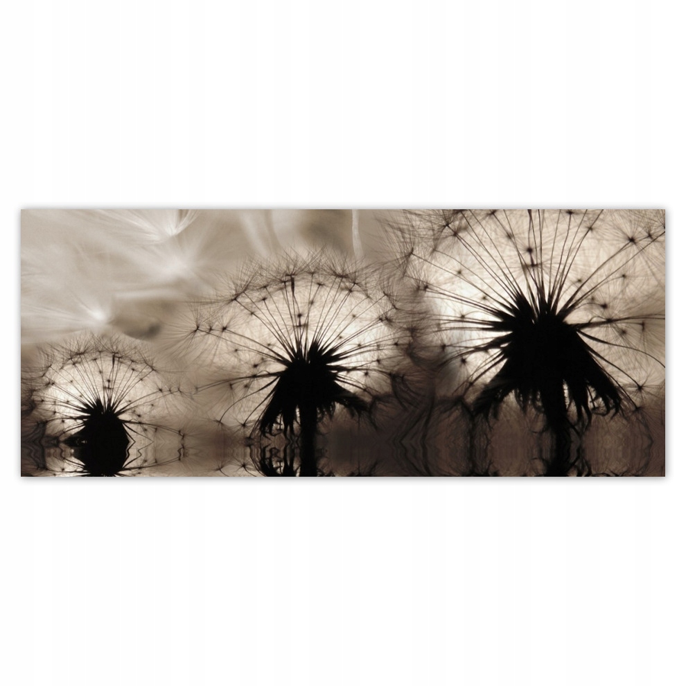 

Fototapety flizelina 250x104 Dmuchawce