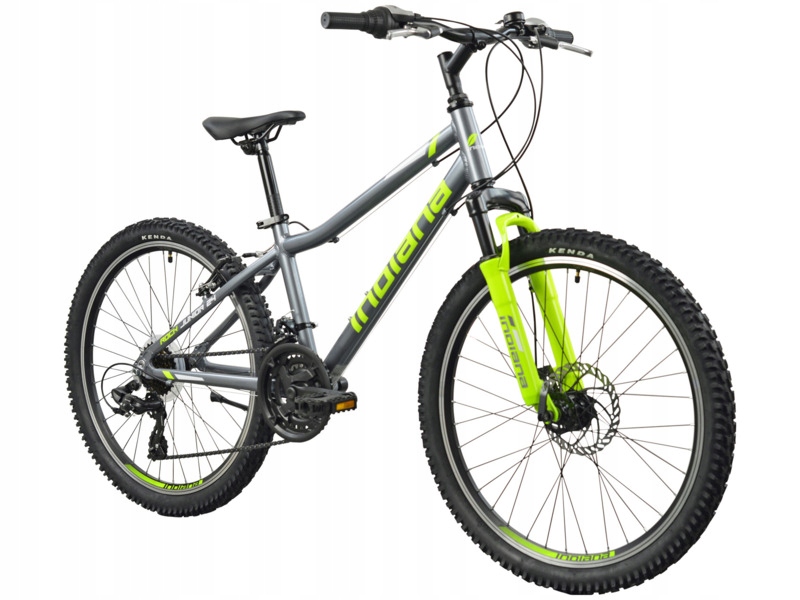 Rower młodzieżowy Indiana Rock Jr 24 cale dla chłopca Szaro-limonkowy