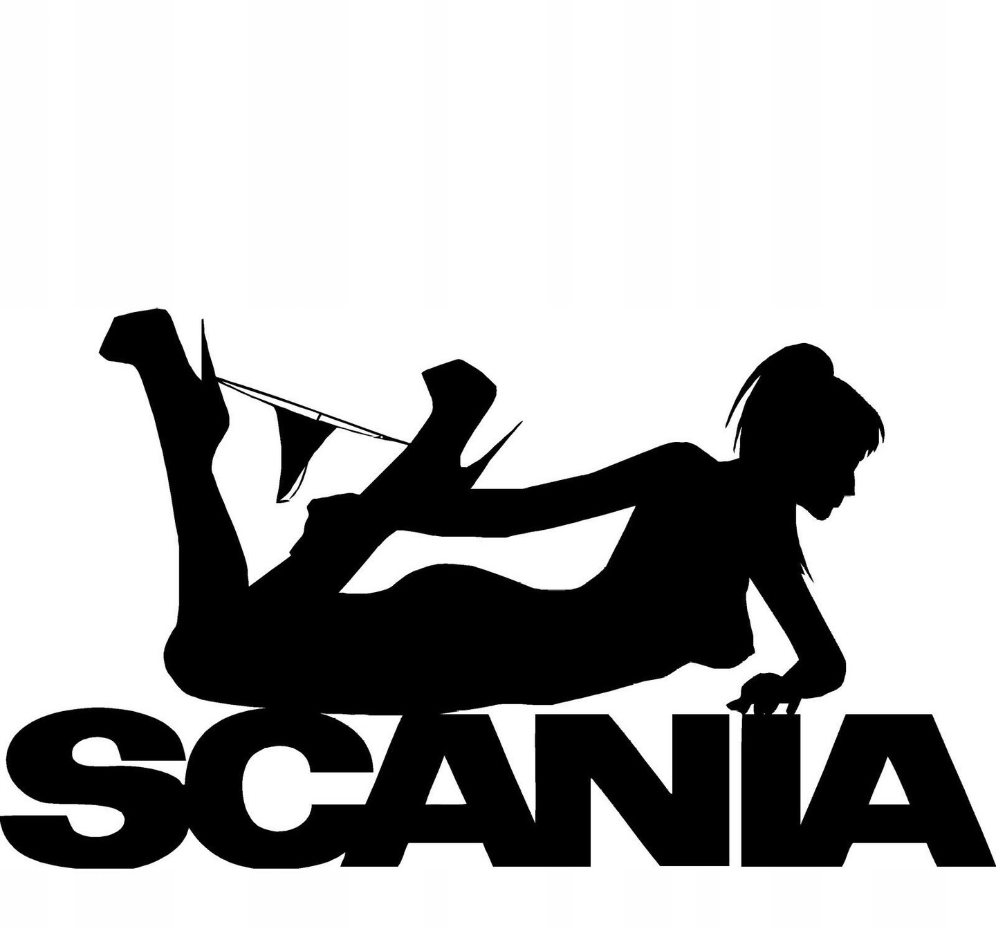 naklejka na ciężarówkę SCANIA dużo kolorów tira