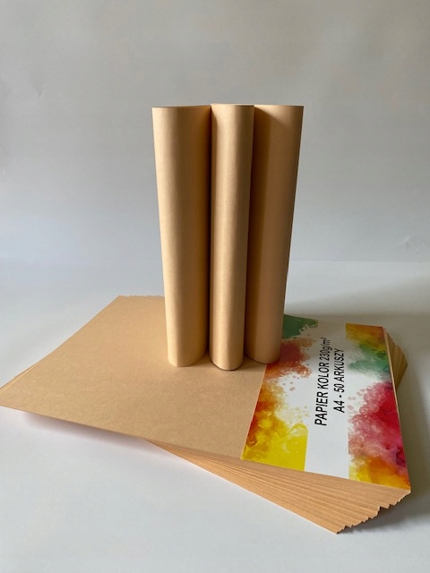 

Papier Ksero Łososiowy A4 230g