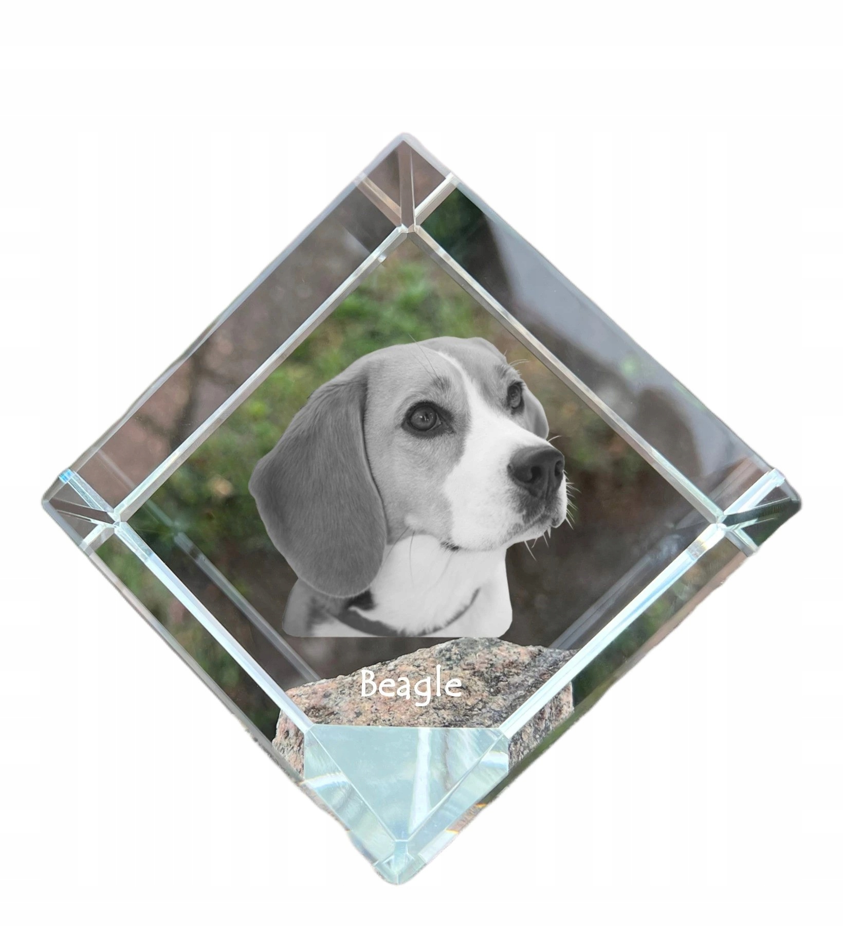 Beagle krištáľová kocka s fotografiou psa, personalizovaná ozdoba na stôl