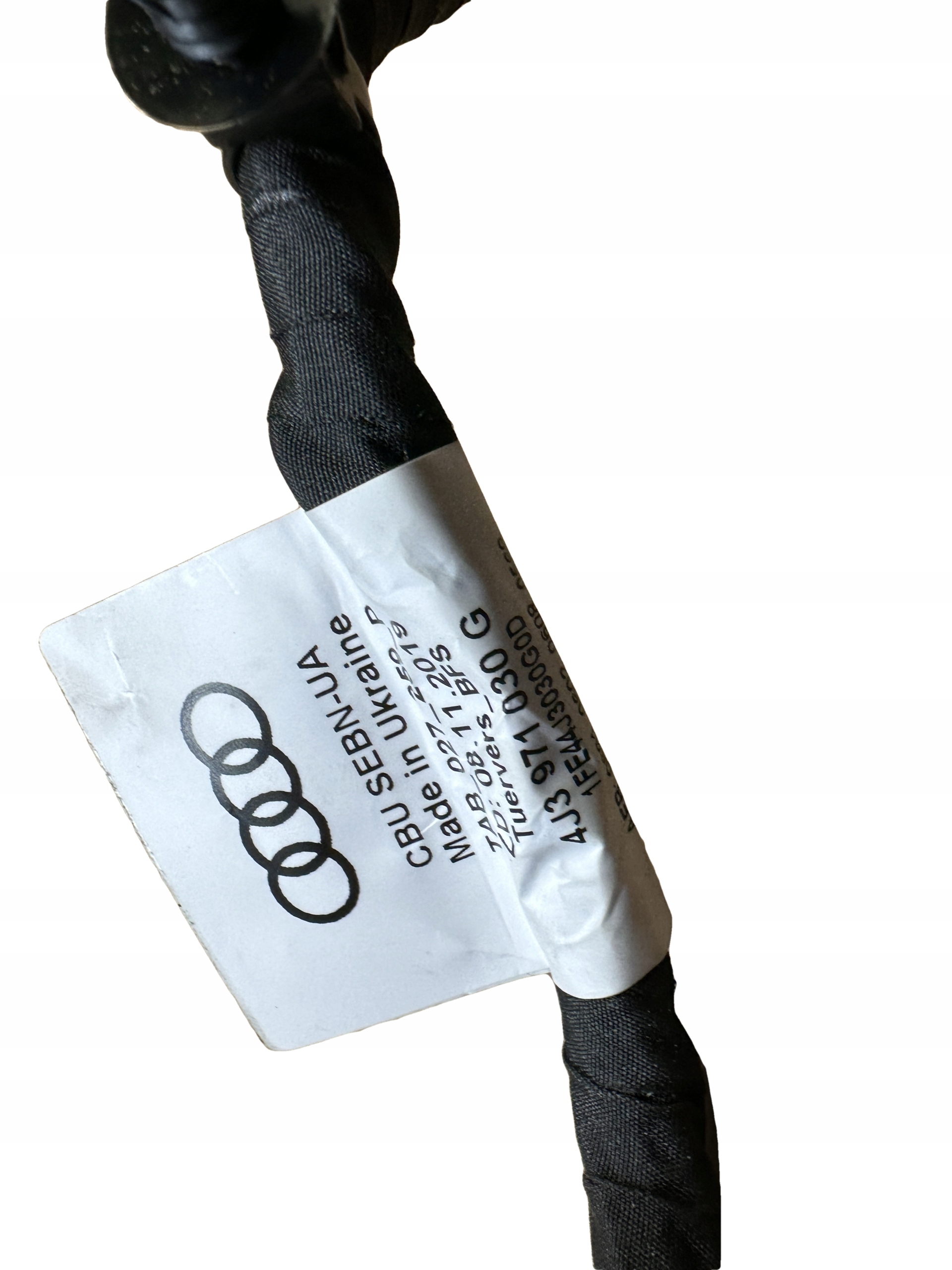 AUDI ETRON GT bundle door right front KAMERA