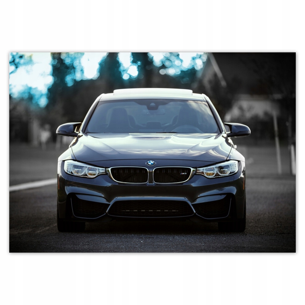 

Fototapety flizelina 312x219 Bmw M3