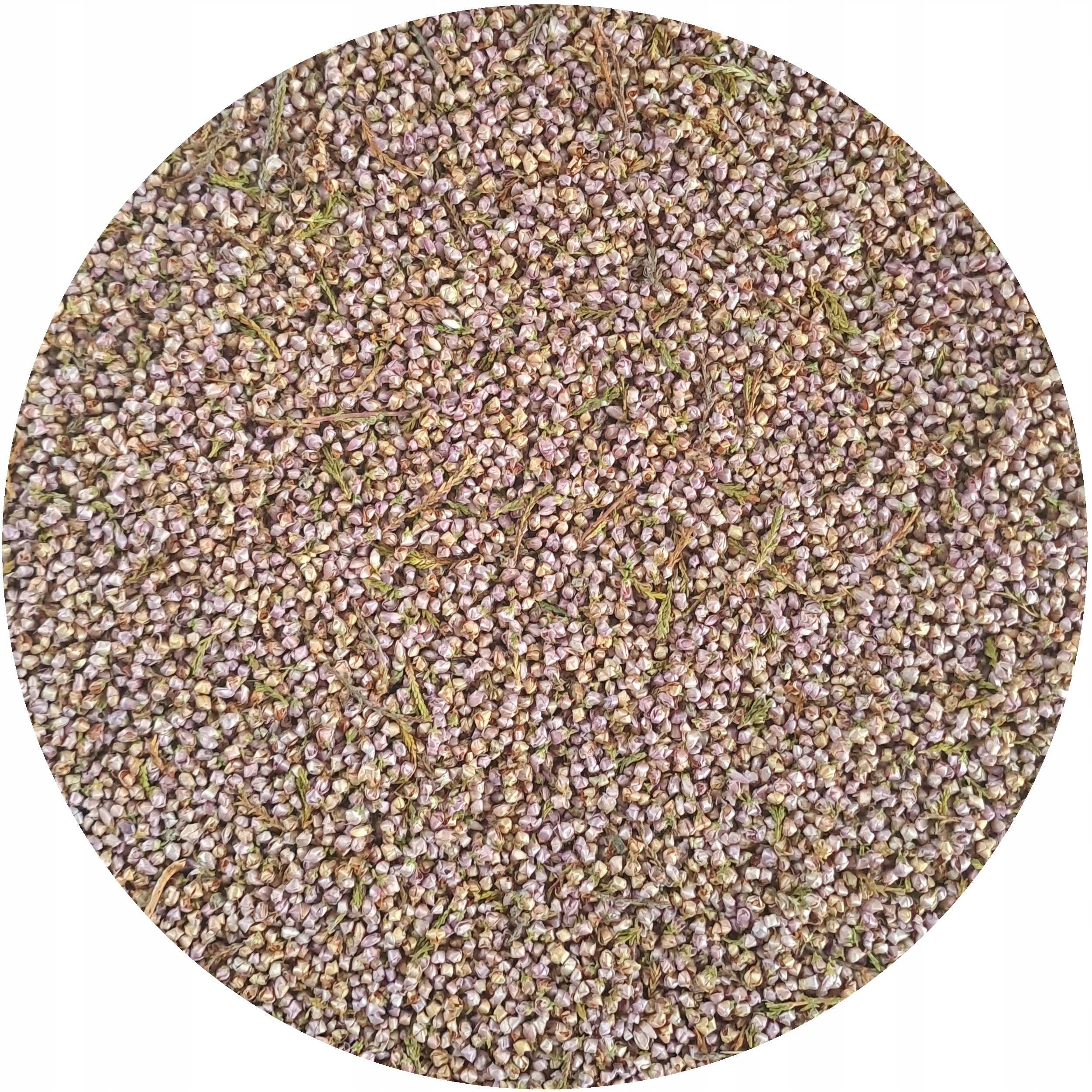 Levně Vřes květy vřesu sušené Premium Mystic.Garden certifikované 500 g