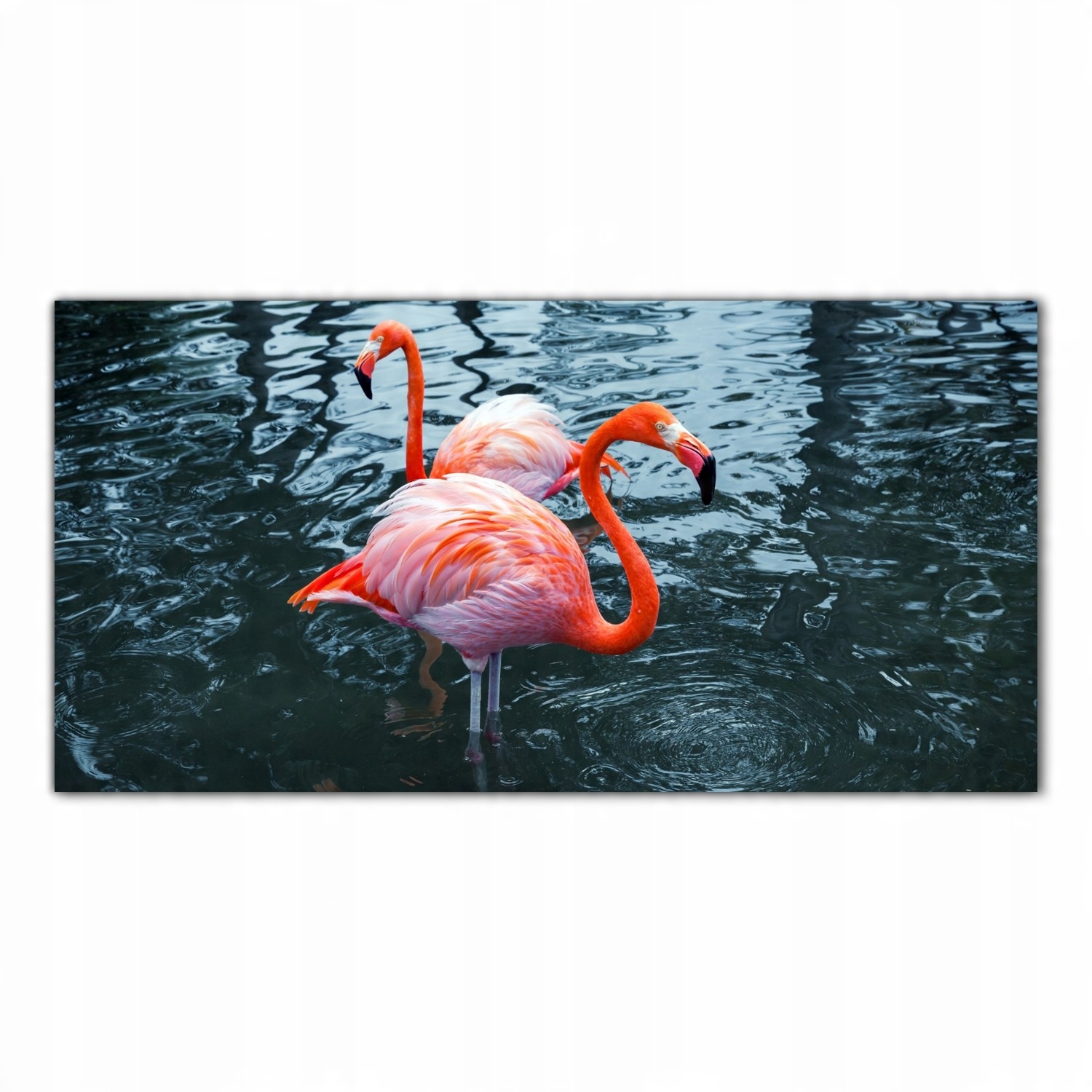 

Hartowany Obraz Szklany Zima Flamingi Ptaki 120x60
